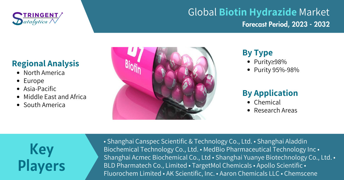 Biotin Hydrazide Market