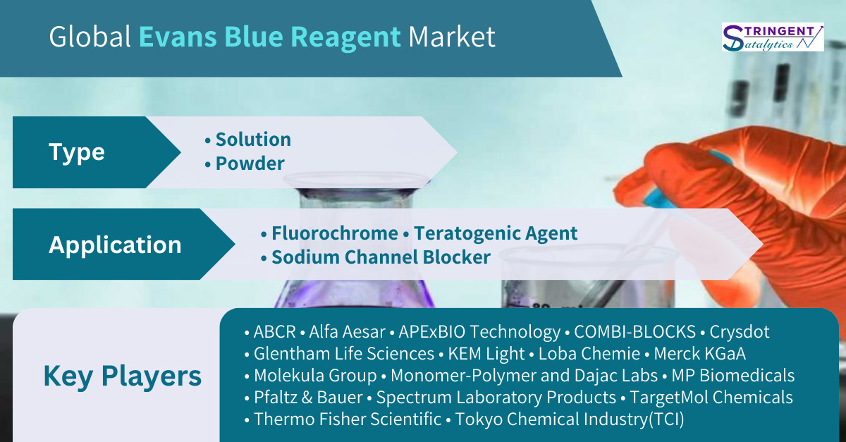 Evans Blue Reagent Market Trends and Forecasts: An In-Depth Exploration of Market Size, Share, and Growth Opportunities
