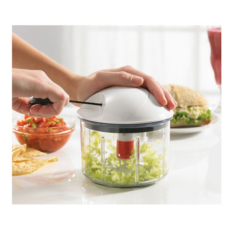 Food Chopper Market Research: A Detailed Examination of Product Types, End Users, and Regional Analysis