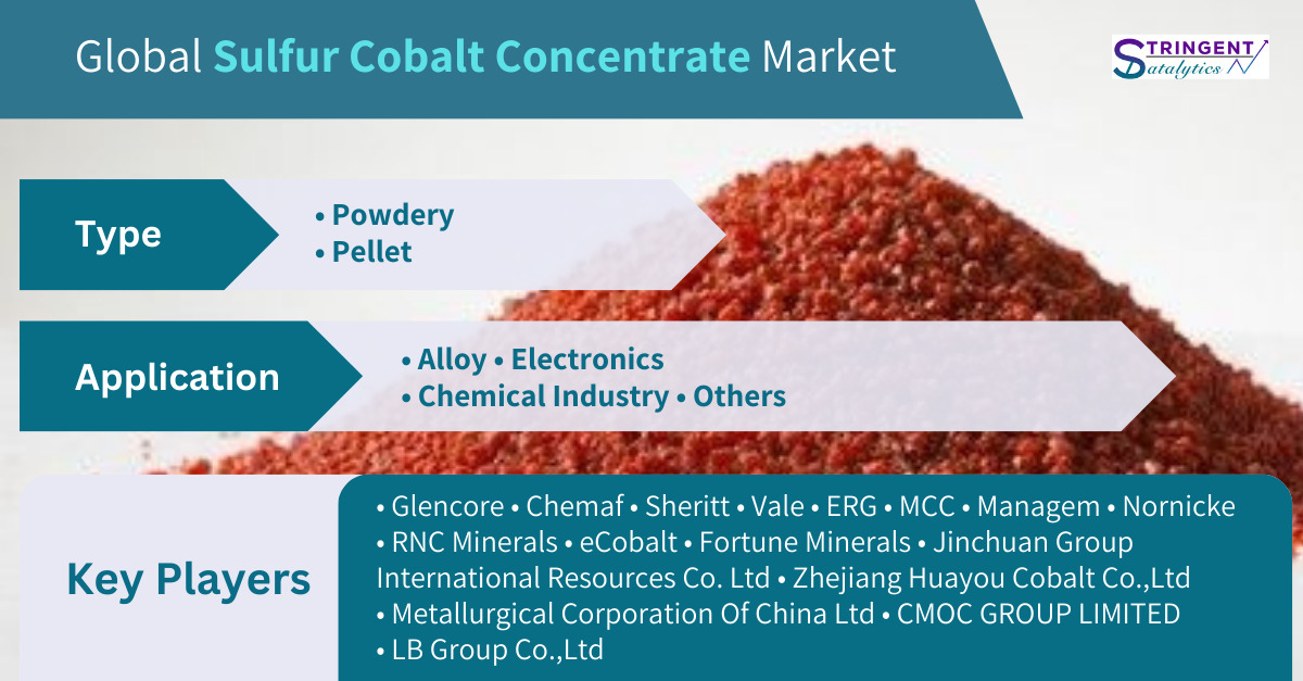 Sulfur Cobalt Concentrate Market Report: A Deep Dive into Industry Dynamics, Regional Insights, and Future Prospects