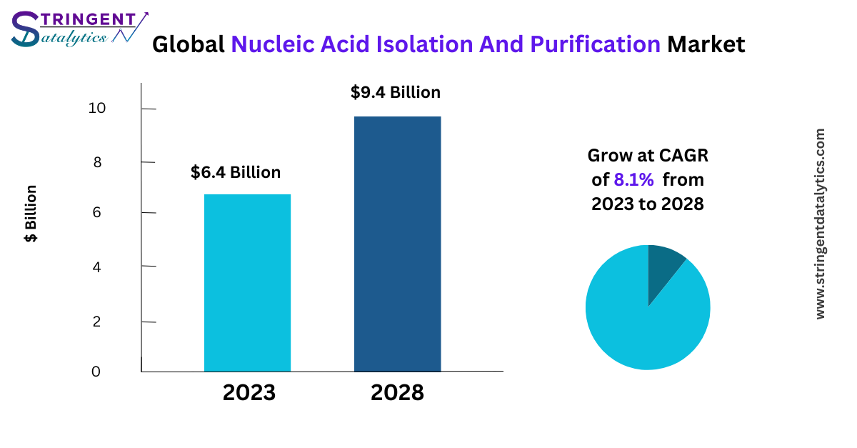 Nucleic Acid Isolation And Purification Market Opportunities, Segmentation, Assessment and Competitive Strategies by 2033