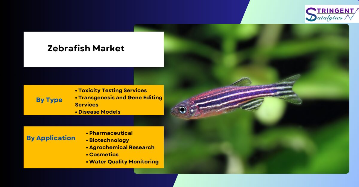 Zebrafish Market Demand Key Growth Opportunities, Development and Forecasts to 2024-2033