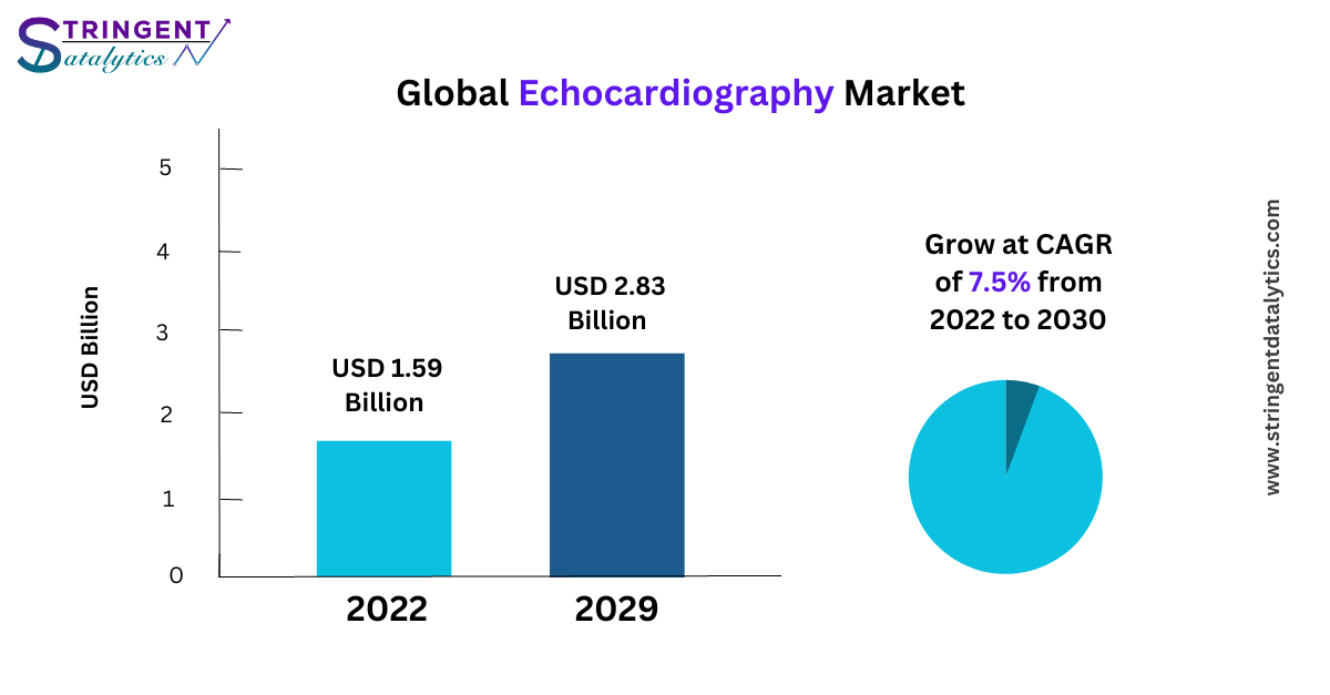 Echocardiography Market Consumption Analysis, Business Overview and Upcoming Trends 2033