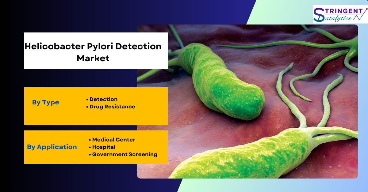 Helicobacter Pylori Detection Market Opportunities, Segmentation, Assessment and Competitive Strategies by 2033