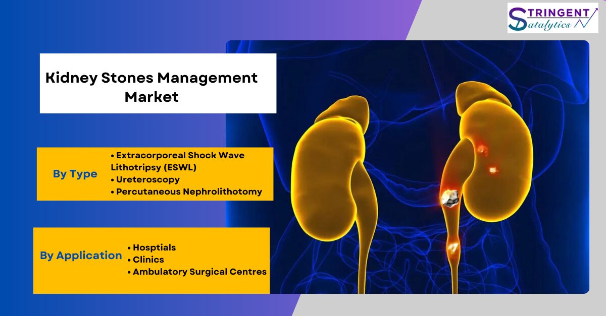 Kidney Stones Management Market Analysis, Trends, Development and Growth Opportunities by Forecast 2033
