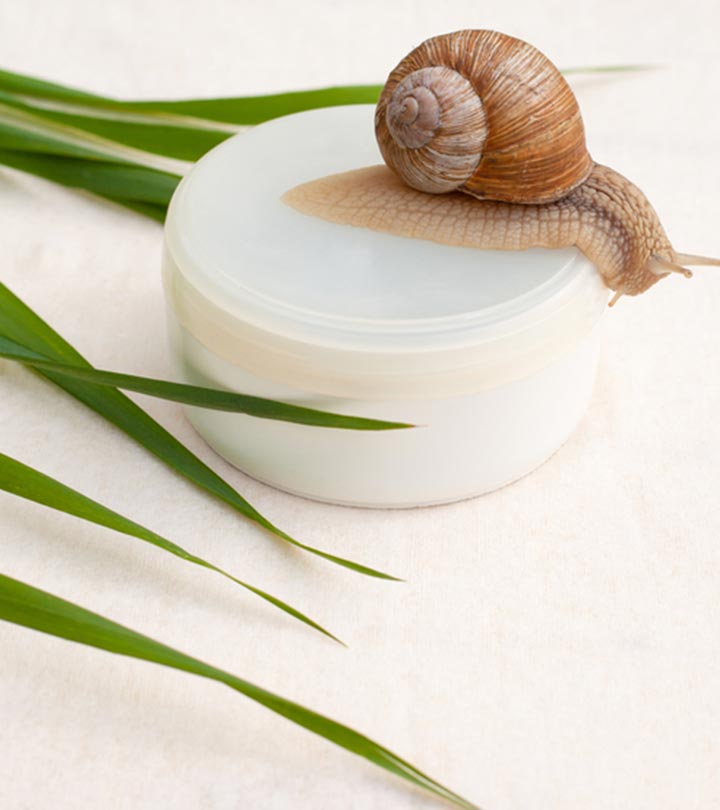 Snail Skin Care Product Market