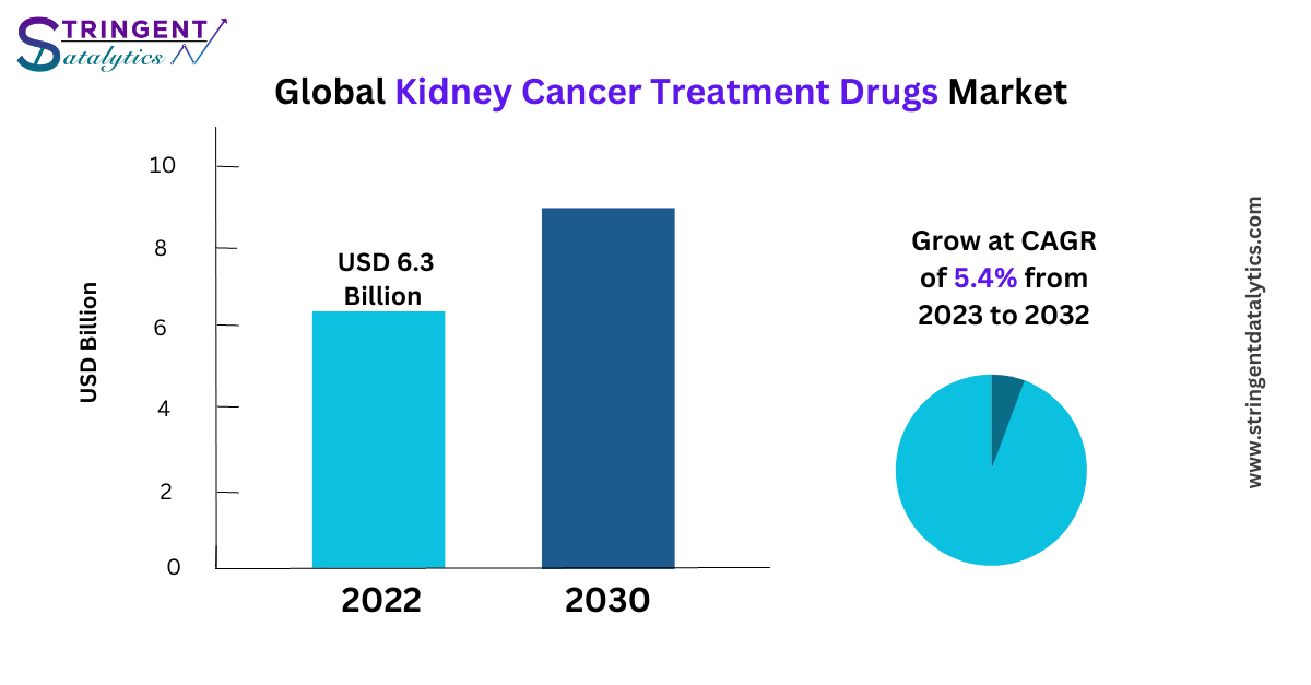 Kidney Cancer Treatment Drugs Market Key Players, End User, Demand and Analysis Growth Trends by 2033