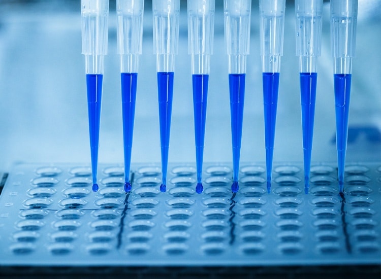 Bacterial Endotoxin Testing Service Market Report Includes Dynamics, Products, and Application 2024 – 2033