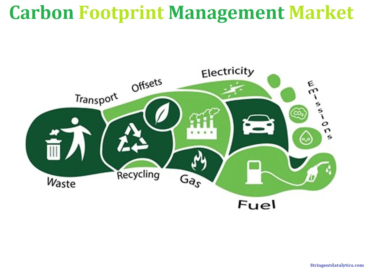 Carbon Footprint Management Market