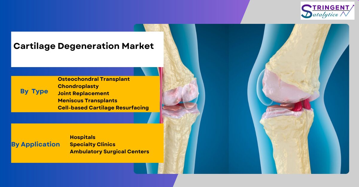 Cartilage Degeneration Market Analysis Growth Factors and Competitive Strategies by Forecast 2033