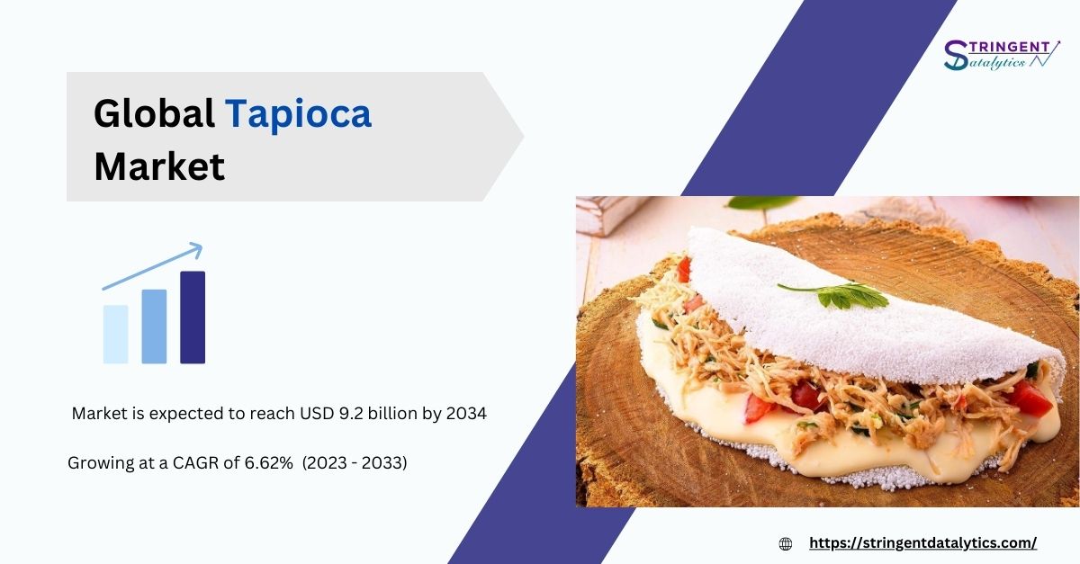 Tapioca Market Opportunities, Segmentation, Assessment and Competitive Strategies by 2033
