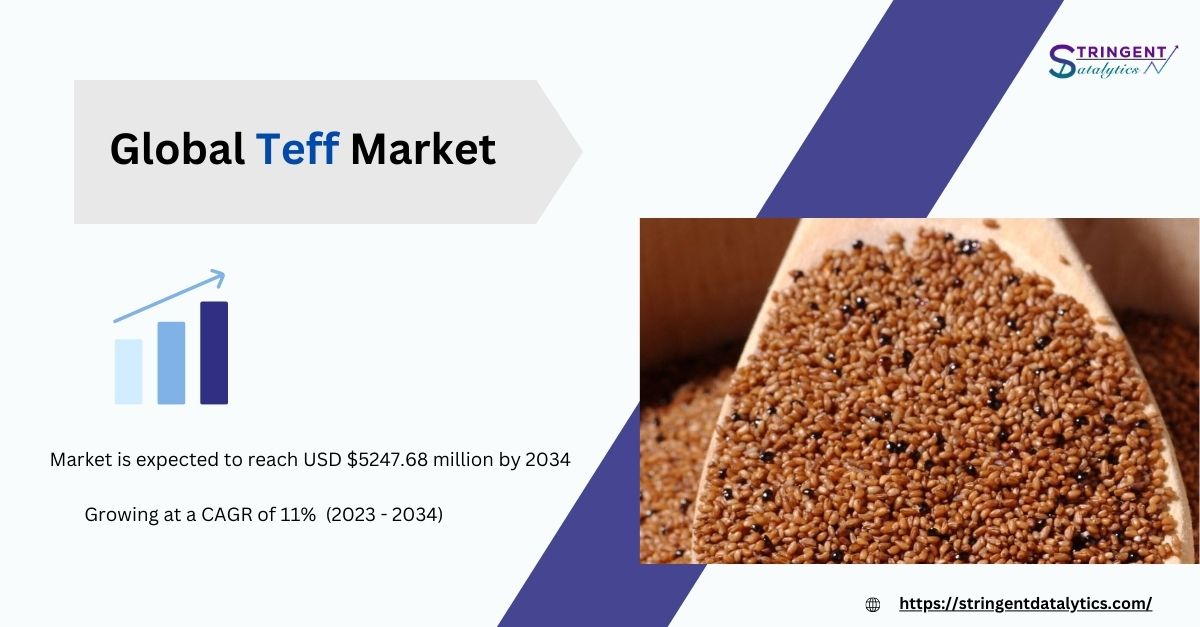Teff Market Analysis and Anticipated Developments by 2034