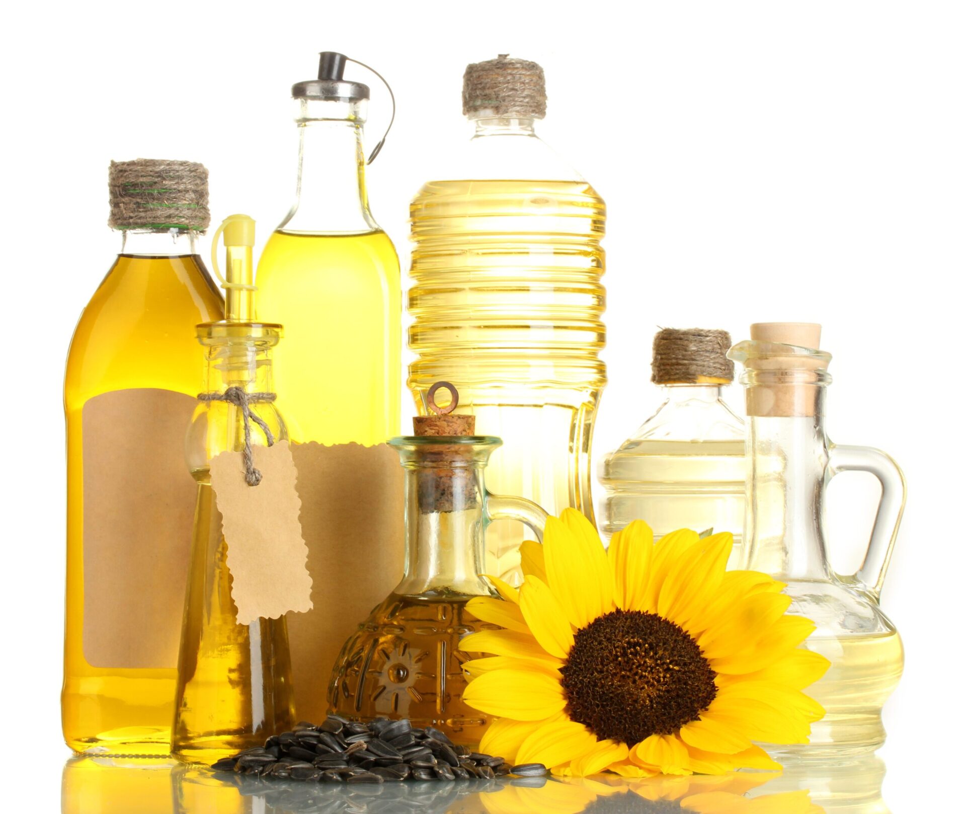 Edible Oil Co-Products And By-Products Market