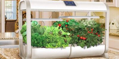 Indoor Smart Hydroponic Garden Market