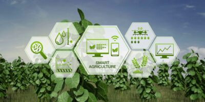 IoT in Smart Farming Market