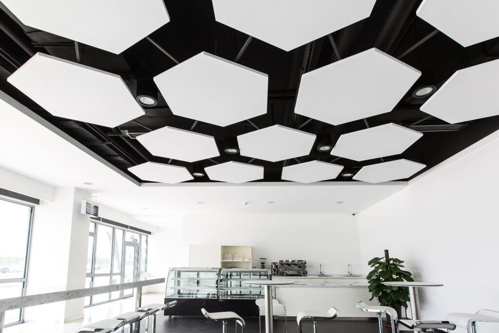 Non-Acoustic Ceiling Tiles Market