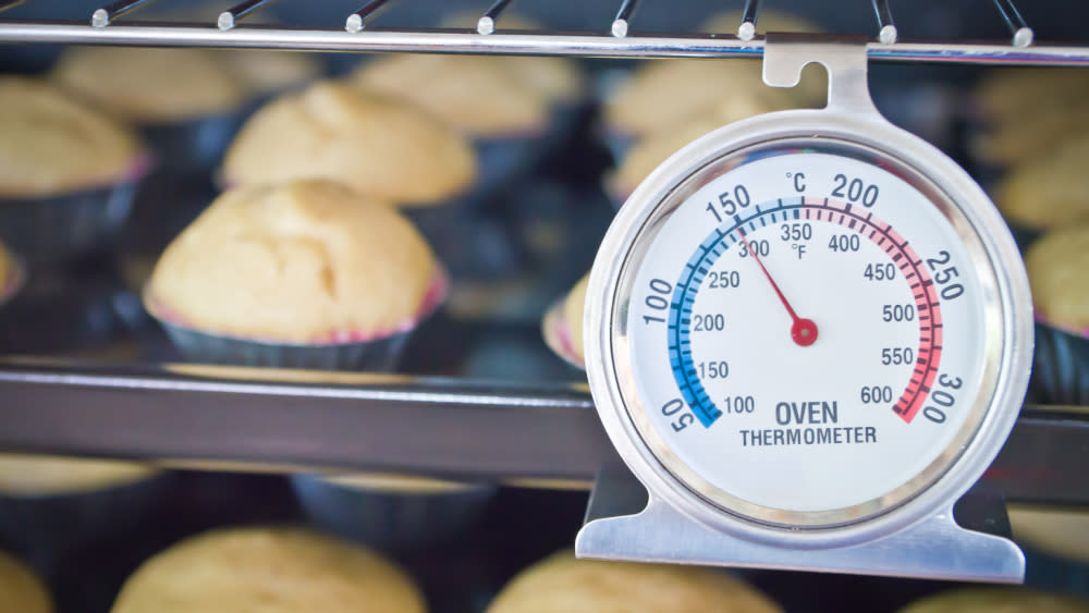 Oven Thermometer Market