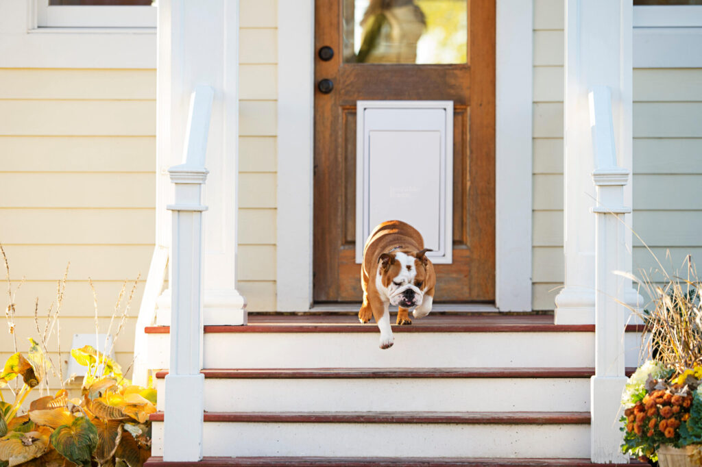 Pet Invisible Fence Market