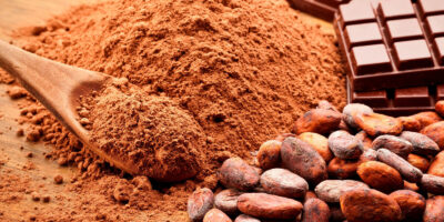 Cocoa Beans Market