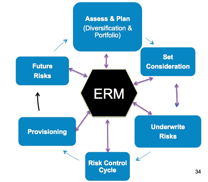 ERM Software Market