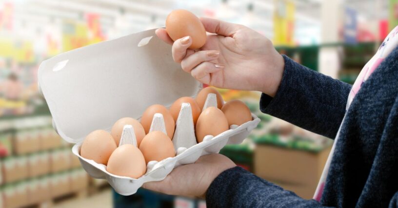 Eggs & Egg Products Market