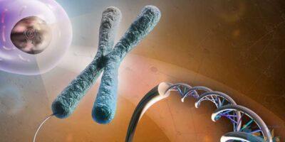 Cytogenetics Market