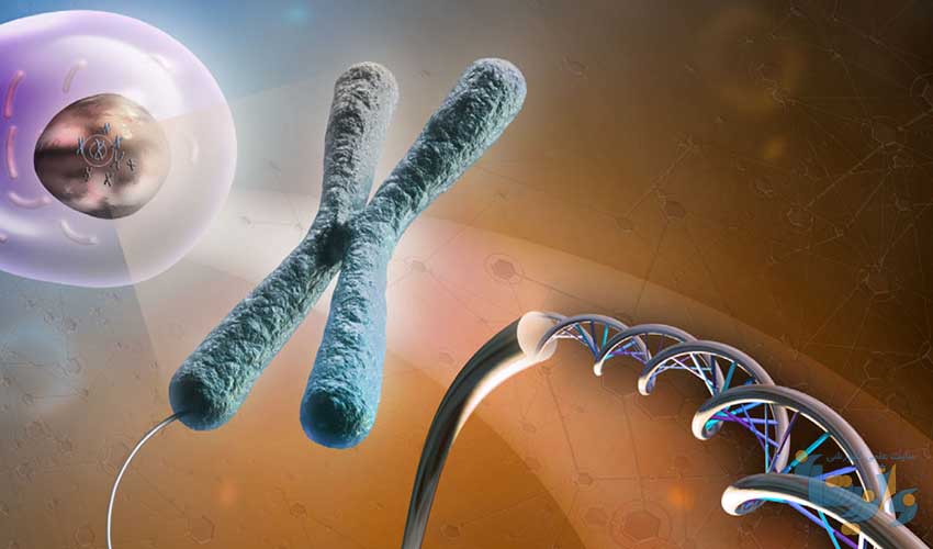 Cytogenetics Market