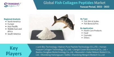 Fish Collagen Peptides Market