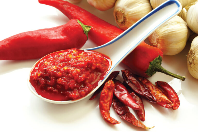 Chilli Puree Market