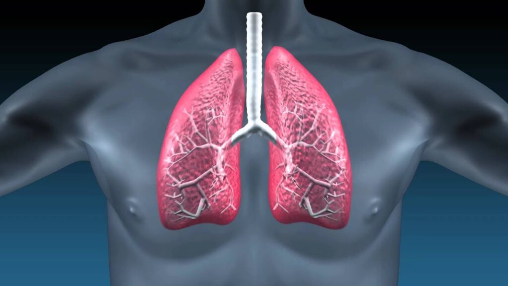 Idiopathic Pulmonary Fibrosis Market