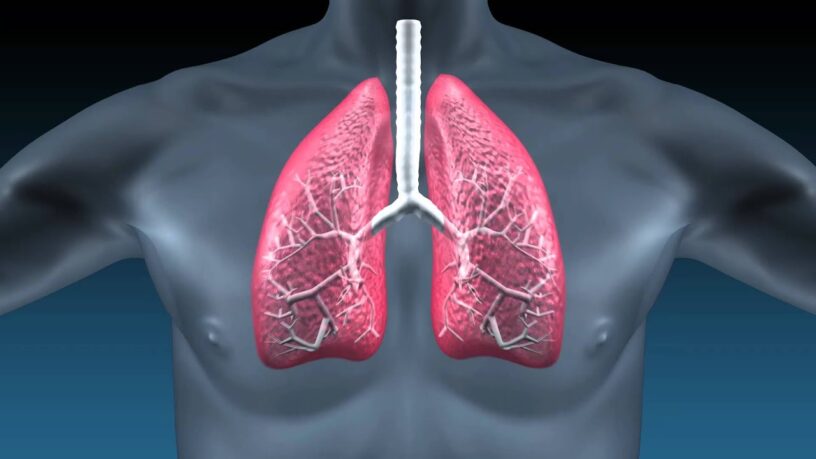 Idiopathic Pulmonary Fibrosis Market