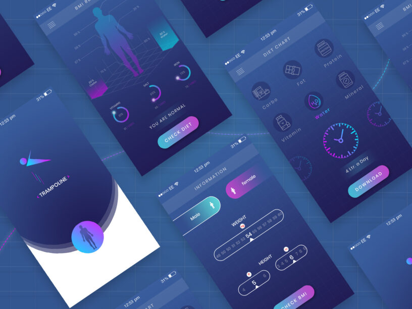 User Interface (UI) Design Tools Market