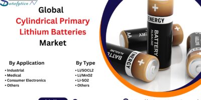 Cylindrical Primary Lithium Batteries Market