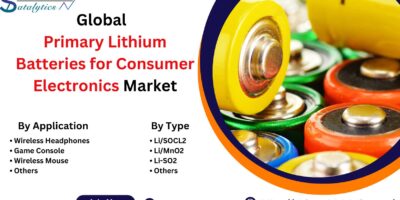 Primary Lithium Batteries for Consumer Electronics Market