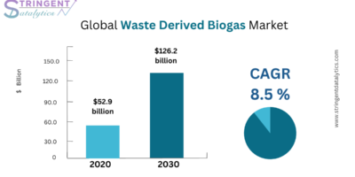 Waste Derived Biogas Market