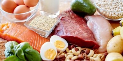 Animal Protein Ingredients Market