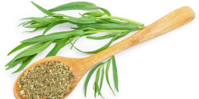 Gourmet Tarragon Seasoning Market