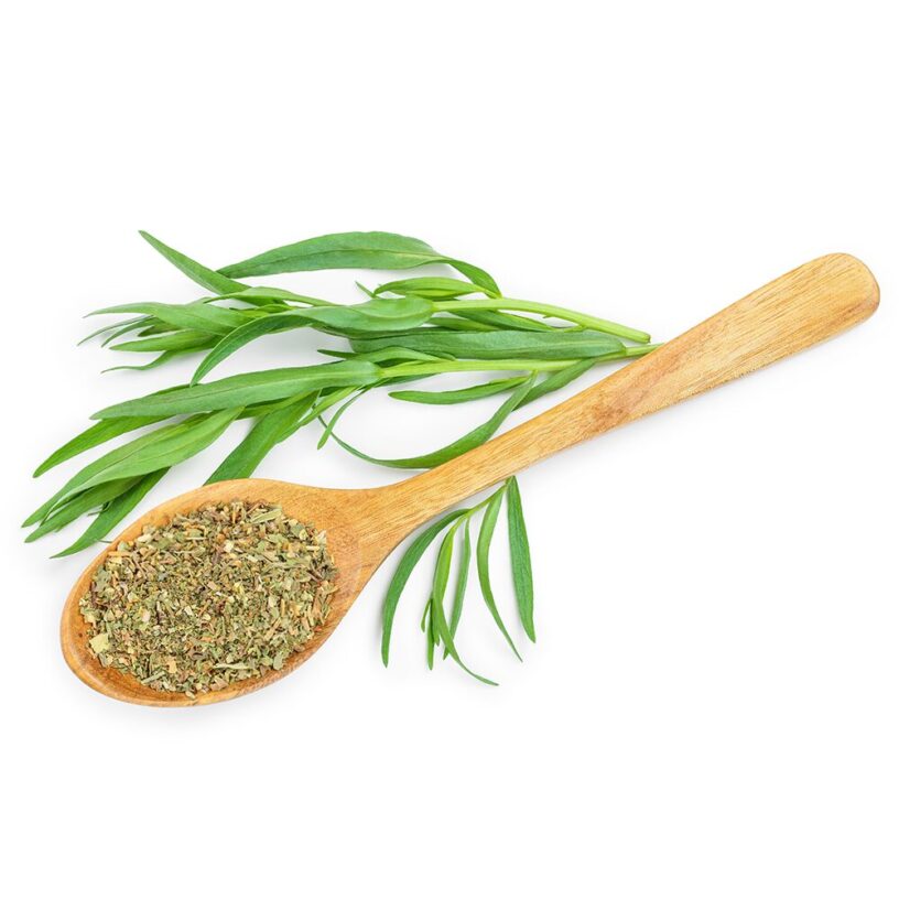 Gourmet Tarragon Seasoning Market