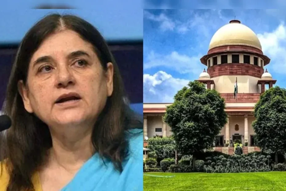 आवारा कुत्तों का मुद्दा: मेनका गांधी का सुप्रीम कोर्ट पर बड़ा हमला — "कोर्ट ने जिम्मेदारी से मुंह मोड़ा"