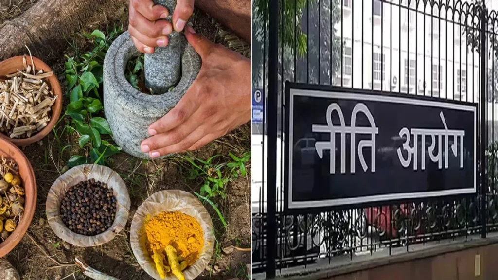 भारत की प्राचीन शक्ति को Global मंच पर: NITI Aayog ने आयुर्वेद और योग के लिए बनाया बड़ा Roadmap