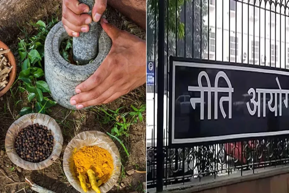 भारत की प्राचीन शक्ति को Global मंच पर: NITI Aayog ने आयुर्वेद और योग के लिए बनाया बड़ा Roadmap