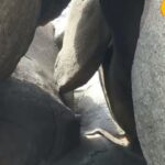 राजस्थान का वो रहस्यमयी शिव मंदिर जहाँ 'पाप-पुण्य गली' तय करती है आपकी आत्मा की सच्चाई