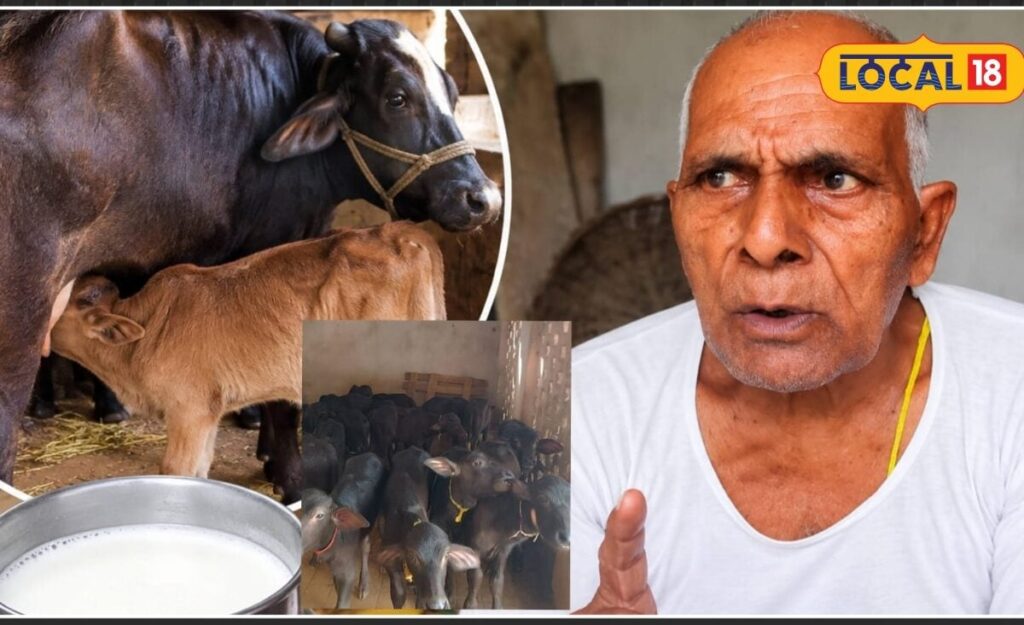 मघा नक्षत्र और दूध का परहेज: मिथिलांचल की एक पुरानी मान्यता, जो आज भी जीवित है